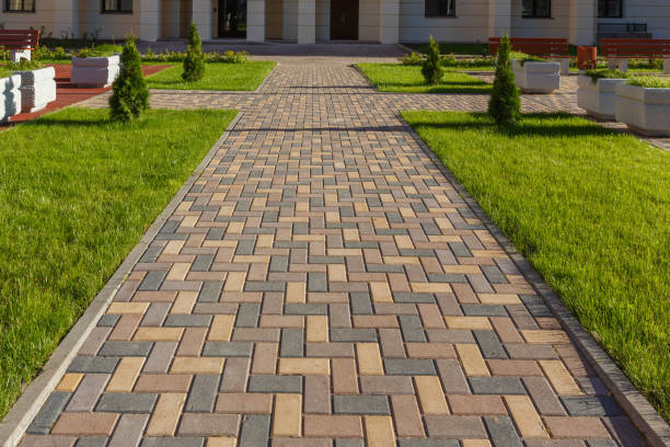 Best Residential Paver Driveway  in Yalaha, FL